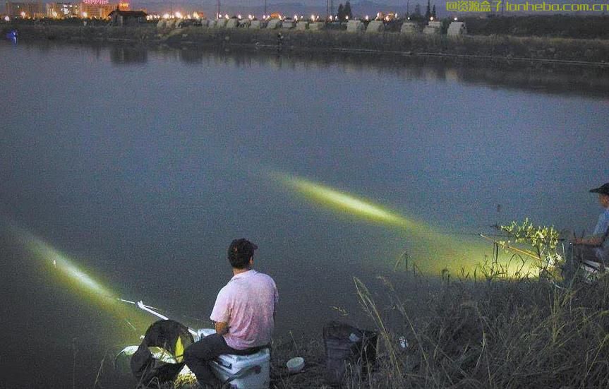 夜钓灯与夜光漂：各有千秋，选哪个更好？