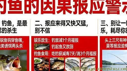 钓鱼哪是休闲，实为杀生，报应来得猝不及防