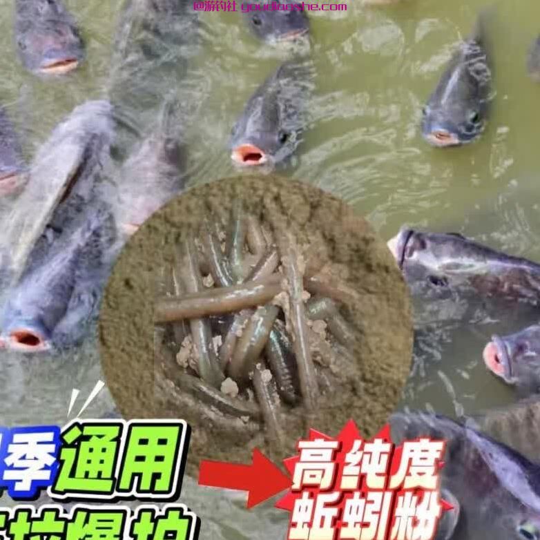 钓鱼总当&ldquo;空军&rdquo;？内行都用这些诱鱼技巧避坑！实测用上后，上鱼率提升80%，从此告别空手而归的尴尬！