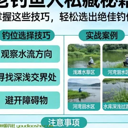 老钓鱼人私藏选钓位秘籍！不用瞎找乱蹲，找准这几点，野钓稳爆护