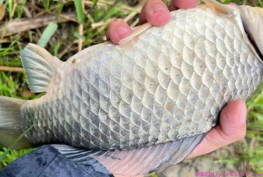 春季想钓鱼又怕没口？记住这三种天气，出门前看一眼，鱼获稳了