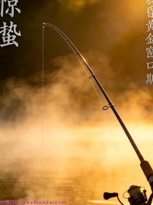 惊蛰过后，钓鱼别傻等！抓住晨昏黄金2小时，鱼获至少多3倍