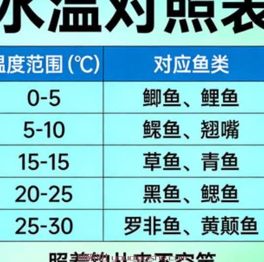 别瞎钓！钓鱼人必备水温对照表，什么温度出什么鱼，照着钓从不空竿