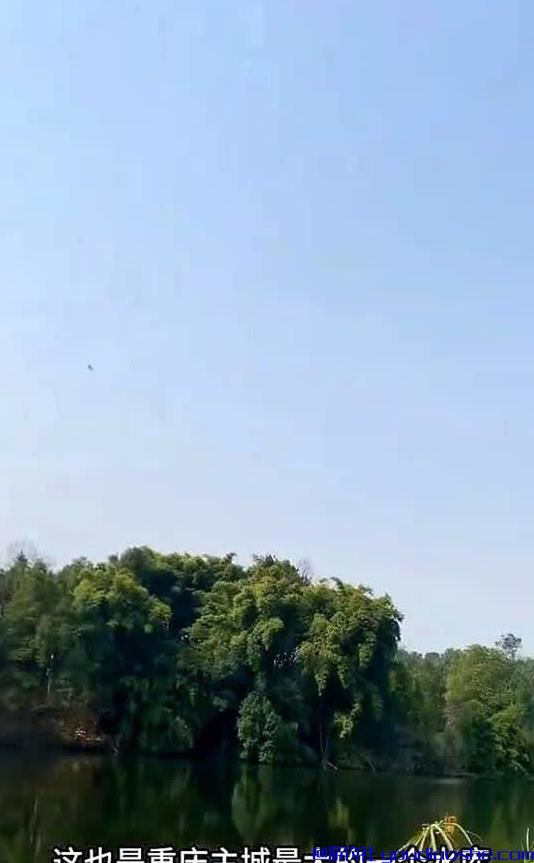 重庆主城最大水库刚刚宣布开放钓鱼，有人已经开始连夜准备抄网了