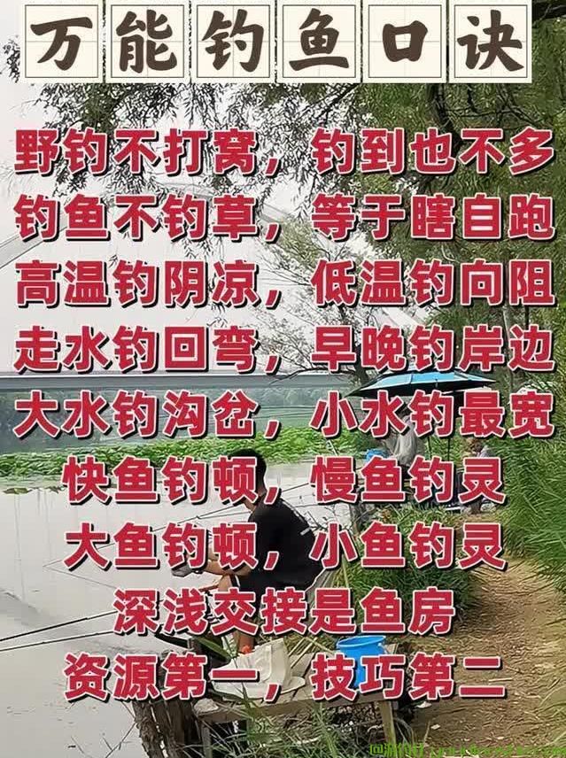 春季钓鱼太难了！天气多变鱼情乱？六字诀窍，轻松破解不空军，究竟是什么秘密武器？