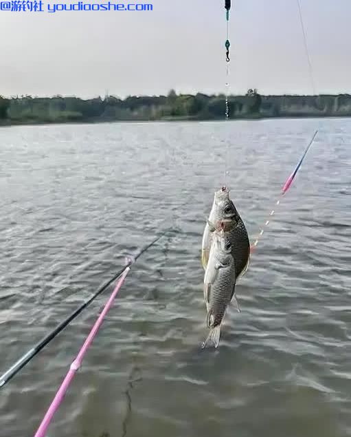 无神论者也脊背发冷：钓鱼真会损福吗？该改的是规则与底线